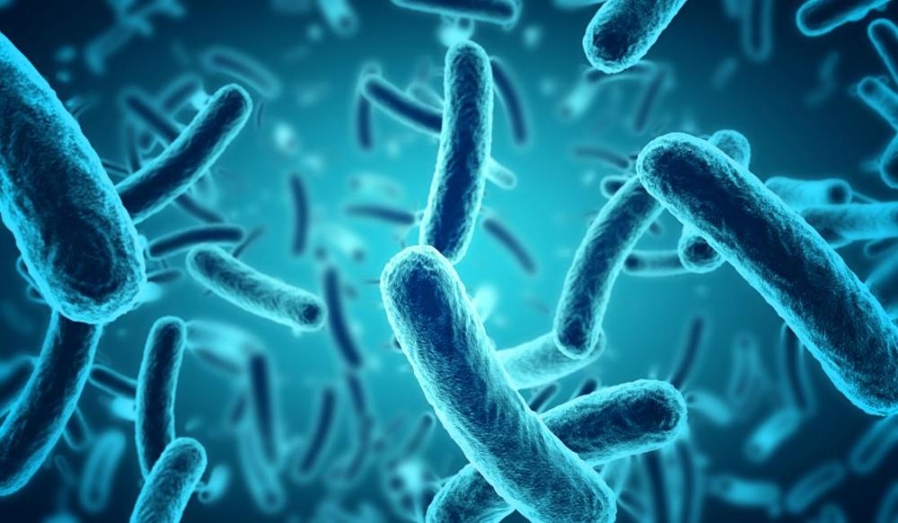 Scientists develop device to detect bacteria in minutes, not days
