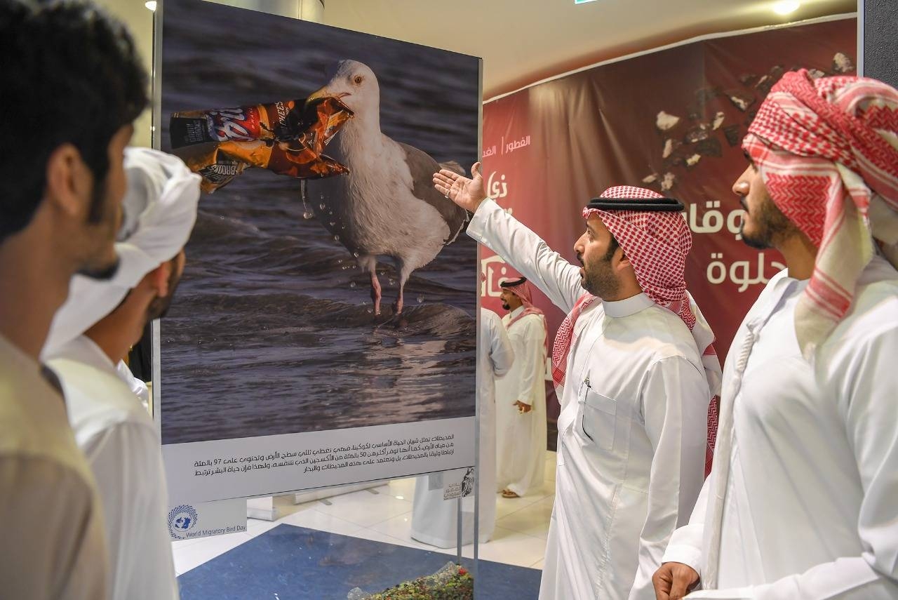 Plastic, microplastics endanger migratory birds