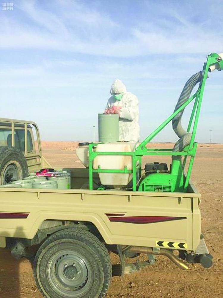 In Madinah, combating of locusts is going on day and night so as to enable visitors perform their rituals in peace. — Courtesy photos
