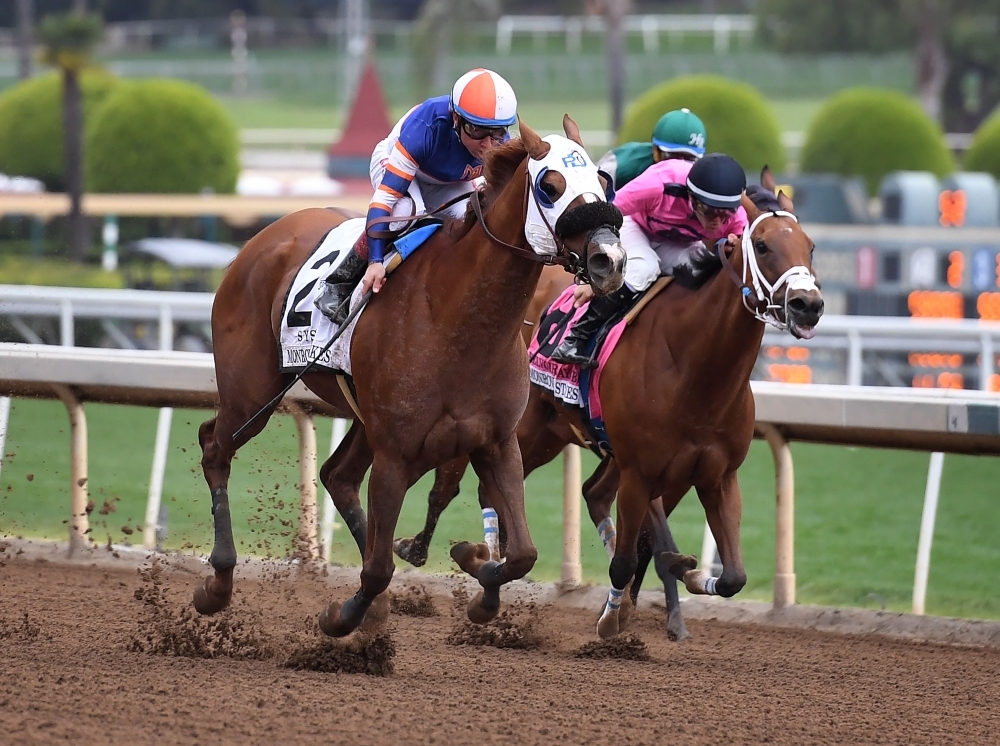 Horses race at the Santa Anita Racetrack as controversy continues over the high number of horse deaths at the track in Arcadia, California on Sunday. Santa Anita Park averaged more than 55 horse deaths per year from 2008-18, according to data from the California Horse Racing Board, a total of 553 deaths in all, but this year's major rise in deaths is under investigation. — AFP
