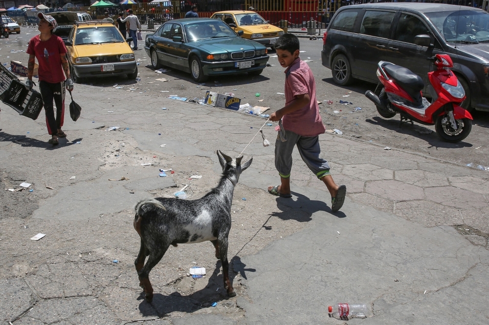 An Iraqi boy pulls a donkey as he walks at Al-Ghazel animal market in the capital Baghdad in this Aug. 2, 2019 file photo. — AFP