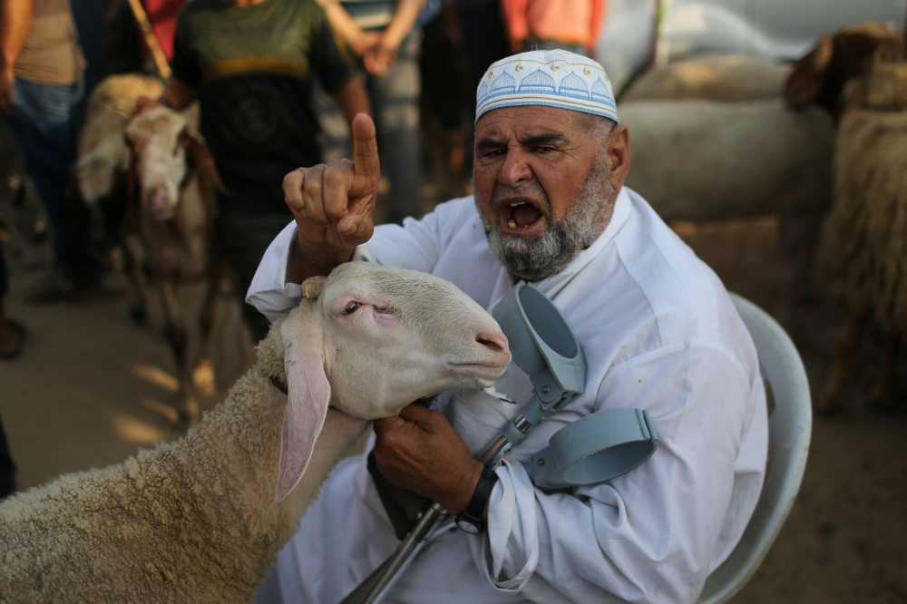 Gazans too poor to afford sheep for Eid sacrifice under blockade, Israel  cash row - Saudi Gazette