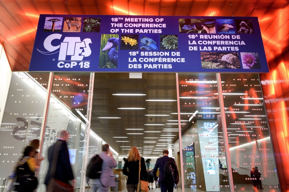 Delegates arrive to attend the United Nations's Convention on International Trade in Endangered Species (CITES) on Saturday at the opening day of the World Wildlife Conference – CITES CoP18, in Geneva. -AFP