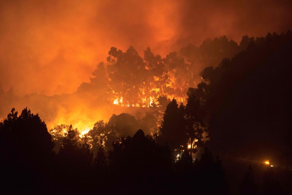 The trees above the road of the forested peaks of Valleseco are engulfed in flames during the new forest fire that broke out just days after another blaze raged in the same area, in the Grand Canary Island of Spain, August 17, 2019. -AFP