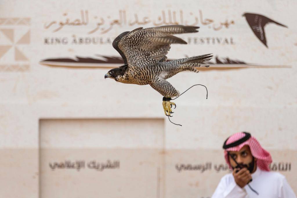 Two major int'l falconry events planned in Riyadh