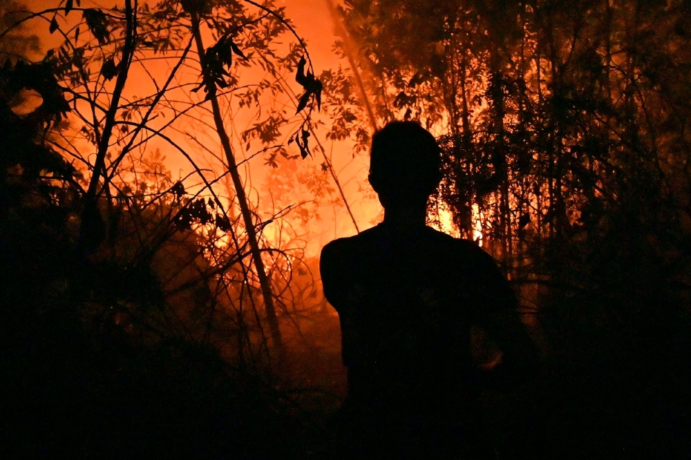 An Indonesian fire fighter extinguishes a fire on land next to a residence in Pekanbaru, Riau province on Friday as the number of blazes in Indonesia's rainforests has jumped sharply. -Courtesy photo