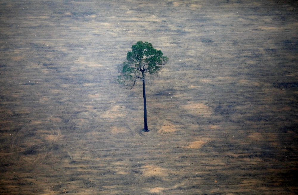 An aerial view shows a deforested plot of the Amazon near Porto Velho, Rondonia State, Brazil, on Tuesday. -Courtesy photo