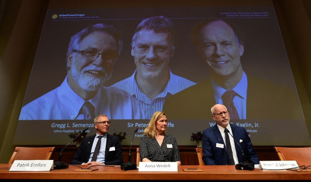 Nobel Assembly members (L-R) Patrik Ernfors, Anna Wedell and Randall Johnson sit in front of a screen displaying the winners of the 2019 Nobel Prize in Physiology or Medicine (L-R) Gregg Semenza, Peter Ratcliffe and William Kaelin after their names were announced during a press conference at the Karolinska Institute in Stockholm, Sweden, on Monday. They won the Nobel Medicine Prize for discoveries on how cells sense and adapt to oxygen availability, the Nobel Assembly said. — AFP