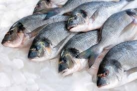Plans to export Saudi fish products to Russia unveiled