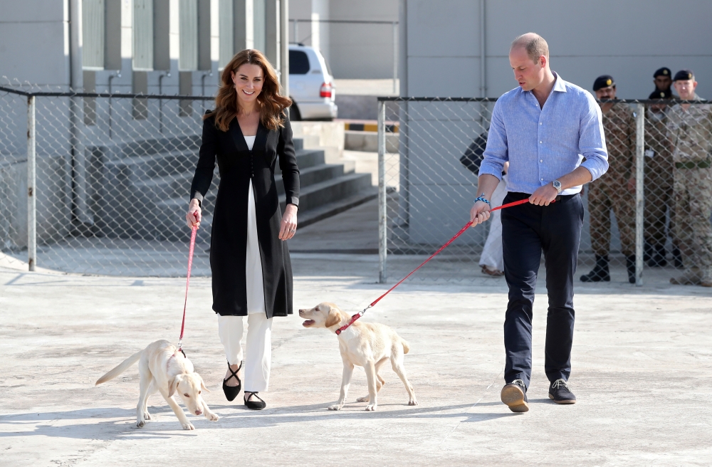 Catherine, Duchess of Cambridge and Prince William, Duke of Cambridge, walk with golden Labrador puppies Salto and Sky as they visit an Army Canine Centre, where Britain provides support to a program that trains dogs to identify explosive devices, in Islamabad, Pakistan, on Friday. — Reuters