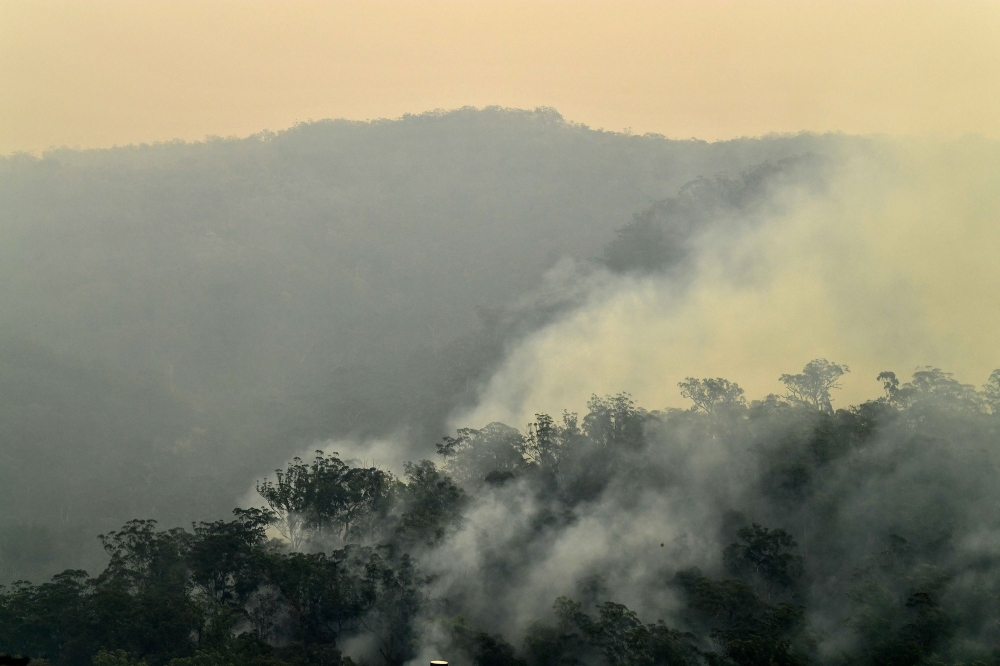  This photo taken on Saturday shows firefighters conducting back burning measures to secure residential areas from encroaching bushfires at the Mangrove area, some 90-110 kilometers north of Sydney.  -AFP