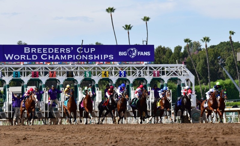 In this file photo Jockeys take off in the Breeders Cup Dirt Mile race won by Irad Ortiz Jr on Spun To Run at the 2019 Breeders Cup at the Santa Anita Racetrack in Arcadia, California on Nov. 2, 2019. An investigation into the deaths of dozens of horses at California's famed Santa Anita racetrack has found no evidence of criminal wrongdoing or animal cruelty, prosecutors in Los Angeles said Thursday. — AFP