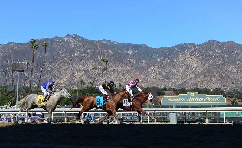 In this file photo Jockeys take off in the Breeders Cup Dirt Mile race won by Irad Ortiz Jr on Spun To Run at the 2019 Breeders Cup at the Santa Anita Racetrack in Arcadia, California on Nov. 2, 2019. An investigation into the deaths of dozens of horses at California's famed Santa Anita racetrack has found no evidence of criminal wrongdoing or animal cruelty, prosecutors in Los Angeles said Thursday. — AFP