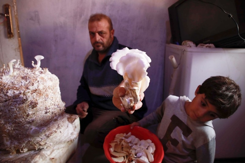 Umm Khaled carries a bowl of mushrooms in a camp in a town called Haarem in the northwestern province of Idlib, Syria, in this Nov. 29, 2019 file photo. — AFP