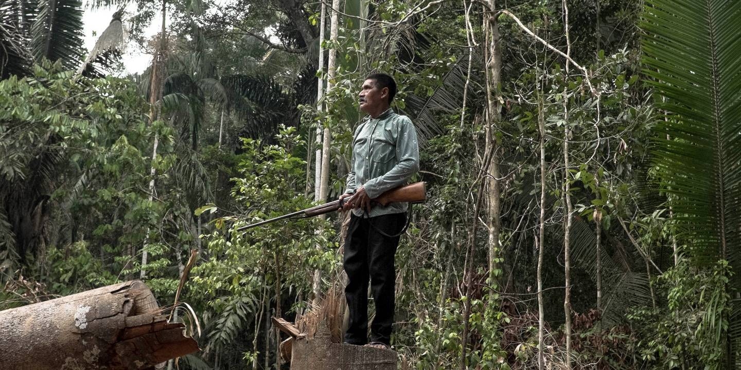 An Indigenous man stands in a clearing where trees have been cut down by suspected land grabbers on the Karipuna Indigenous territory in 2017. -Courtesy photo