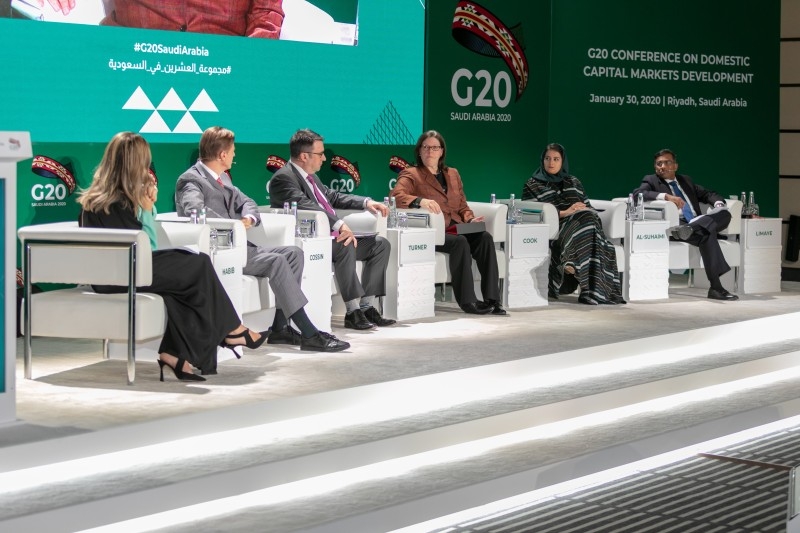 Accessible, inclusive domestic capital markets: A G20 priority