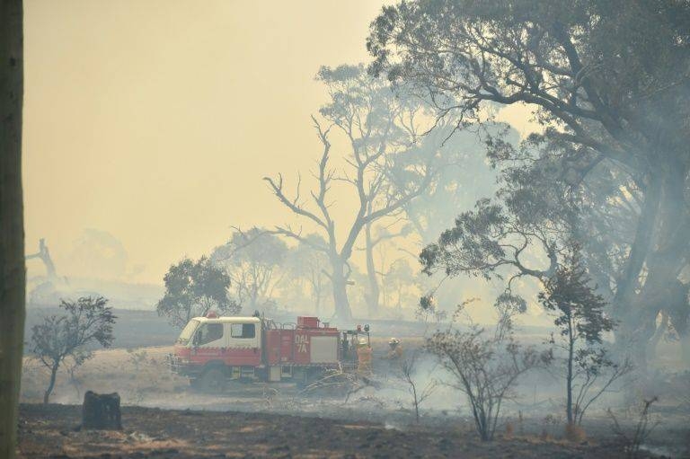 Australia's east coast has been lashed with days of rainfall dousing blazes that have burned out of control for months and raising hopes for an end to the unprecedented crisis. — AFP 