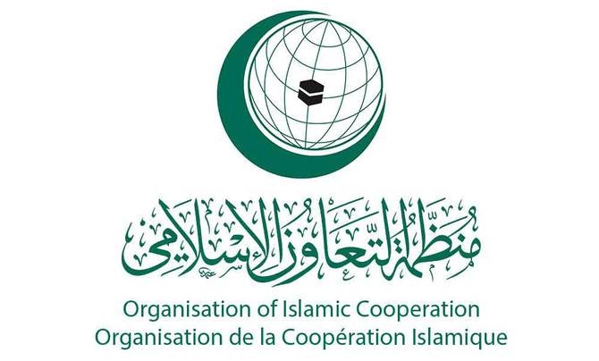 OIC condemns anti-Muslim violence in India