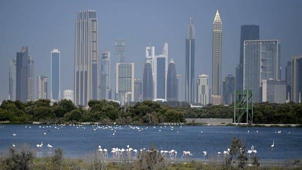 The mud flats at the Ras Al-Khor Wildlife Sanctuary in Dubai, with the city skyline seen in the background, as the site has been closed to the public amidst the coronavirus pandemic. -- Courtesy photo