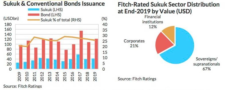 New sukuk issuance is expected to rise: Fitch