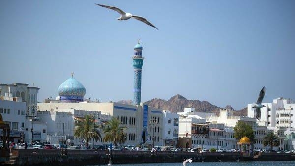 Gulls in Muscat, Oman. -- Courtesy photo
