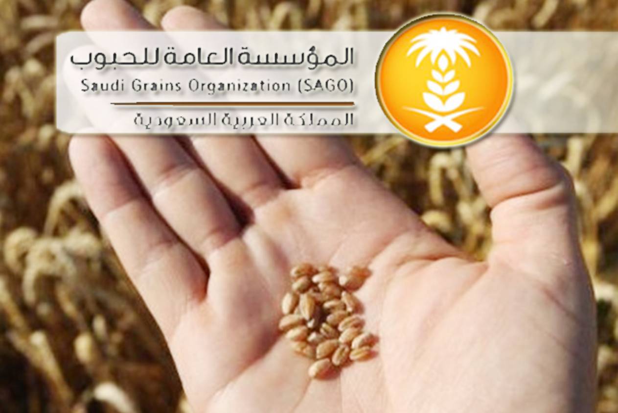 SAGO set to import 655,000 tons of wheat