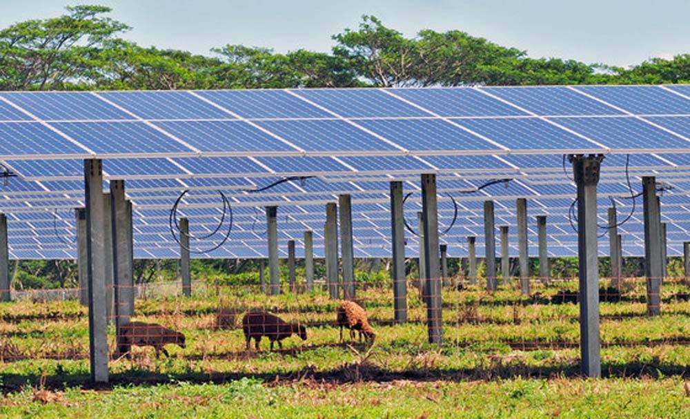 The Kauai Island Utility Cooperative solar facility in the US state of Hawaii. — Courtesy ILO photo