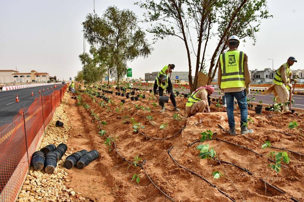 The project aims to plant 7.5 million trees within a period of the coming 10 years. It is expected to raise the green areas out of the total developed area of the capital city from 1.5 percent to 9.1 percent by 2030, and the per capita area of green from 1.7 square meters to nine square meters.