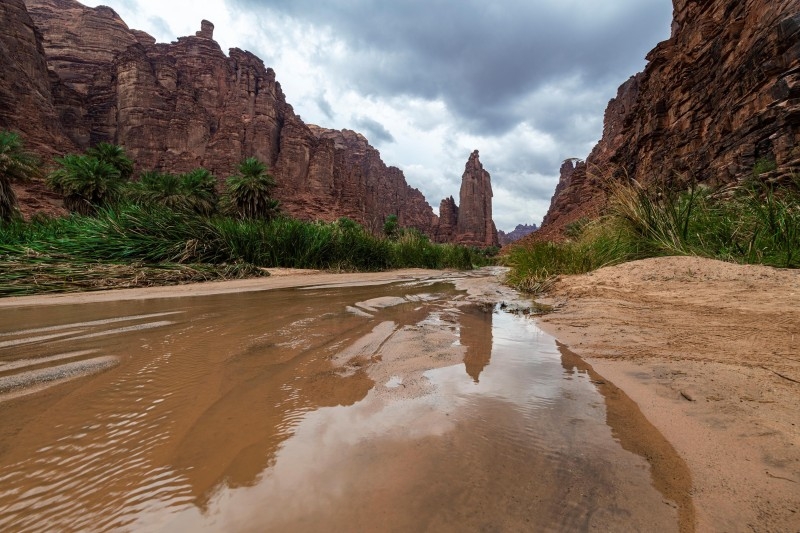 Spread over an area of more than 136,000 square kilometers, the Kingdom’s northwestern region boasts of having all the components of an attractive geographical location where the land meets with a sea of pristine blue waters, the valley with trees, and sand with stone.