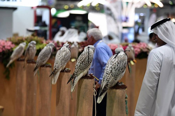 The Abu Dhabi International Hunting and Equestrian Exhibition (ADIHEX) have announced that the 18th edition of the event will take place over seven days.