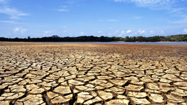 
Landscape of a dry, cracked soil with water and vegetation in the background in Ilha do Caju, state of Maranhão, Brazil. — courtesy Adriano Gambarini / WWF-Brazil