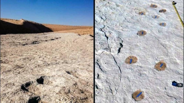 Saudi Arabia announced on Wednesday the discovery of 120,000-year-old footprints of humans and predators in the northern region of Tabuk.