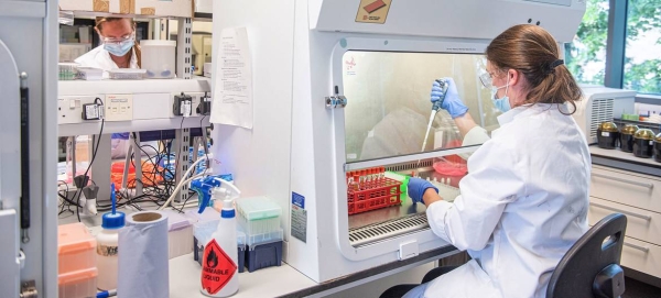 A team of scientists at Oxford University’s Jenner Institute and Oxford Vaccine Group is making progress toward the discovery of a safe, effective and accessible vaccine against coronavirus. — Courtesy photo