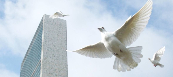 Doves released are seen at the UN headquarters in New York in this file picture. — Courtesy photo 