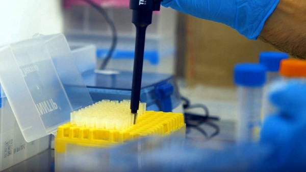 The majority of PCR methods rely on thermal cycling where the reactants are exposed to repeated cycles of heating and cooling to start the RNA replication process. While laboratory PCR tests require a programmable thermocycler, LAMP can be carried out with a simple heat block, making it much more amenable to portable testing. — WAM photos

