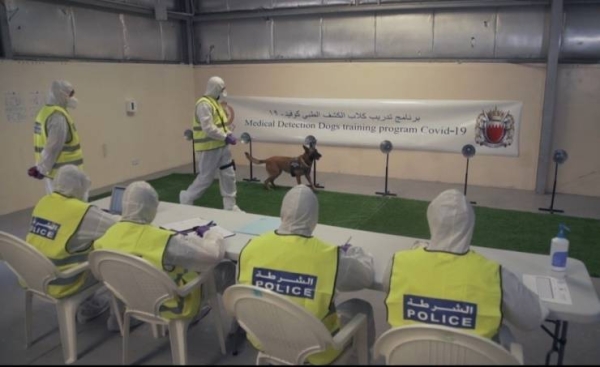 Bahrain’s Interior Ministry has started to use police dogs to detect and discover those infected with the coronavirus. — BNA photo