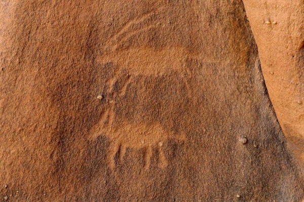 The northern Saudi mountain range in the Hail region is unique with its strange rocky topography and the multiplicity of inscriptions from different historical periods.