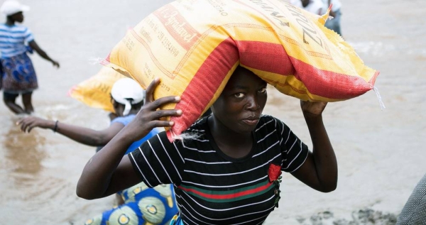 Drought in Africa will adversely impact the productivity of major cereal crops, says a report launched by WMO today. — courtesy WMO/Cornel Vermaak