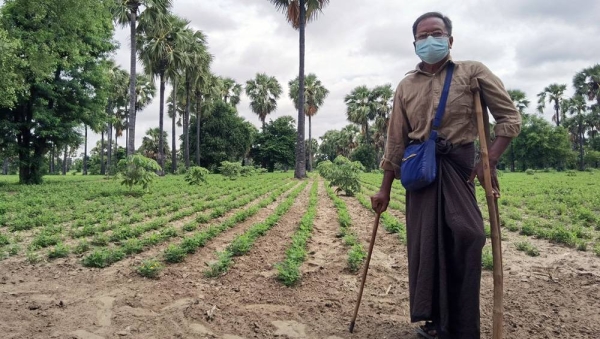 The majority of people in Myanmar’s rural areas rely on farming, fishing and raising animals to earn a living. — courtesy FAO/Soe Moe Naing