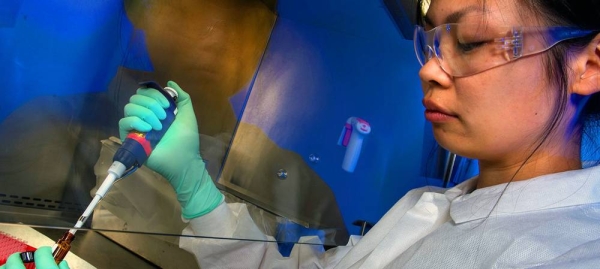 A scientist tests a sample suspected of containing a bacterial toxin. — courtesy CDC
