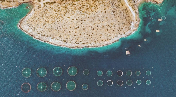 An aerial view of fish farms in Saronikos, Greece. — courtesy Unsplash/Alex Antoniadis