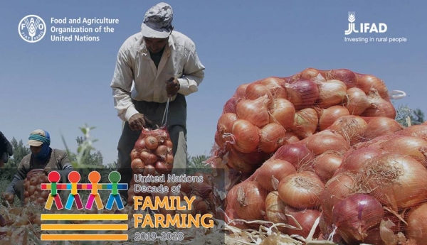 IFAD and FAO have joined forces to foster inclusive and sustainable family farming as the central cornerstone for a vibrant, productive and profitable agriculture across the Near East and North Africa (NENA).