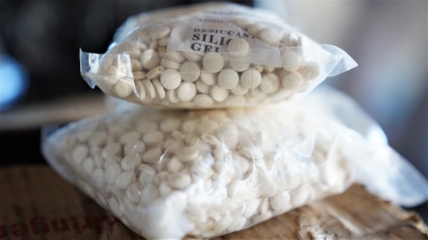 The seizure, carried out by the Creek and Deira Wharfage Customs Center, which operates under the Sea Customs Management, comprised 662kg of different types of narcotics. — WAM photos

