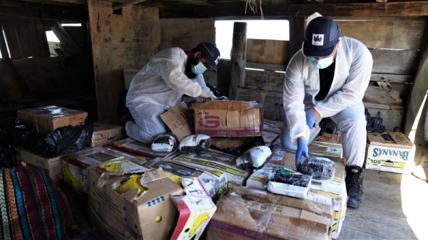 The seizure, carried out by the Creek and Deira Wharfage Customs Center, which operates under the Sea Customs Management, comprised 662kg of different types of narcotics. — WAM photos


