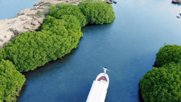 Farasan Reefs are sustainable experiences for diving and snorkeling