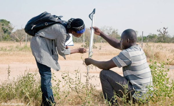 Barkissa Fofana, a young microbiologist from Burkina Faso, is confident that science can help combat climate change and desertification. — courtesy FAO/Gideon Vink