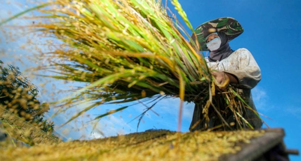 A woman combs her granddaughter's hair outside their home in Maharashtra, India. — courtesy UNICEF/Dhiraj Singh