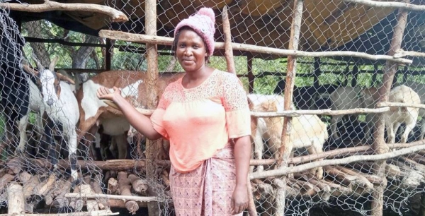 Sylvia Chiinda has boosted her income by farming goats. — courtesy UNDP Zambia