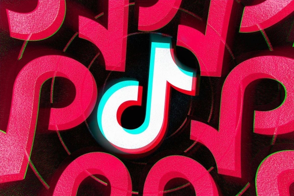 Pakistan's Telecommunications Authority said it banned TikTok after a provincial court in Peshawar called for the platform to be removed. — Courtesy photo