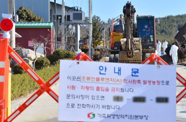 An egg farm in the southeastern port city of Pohang is closed in this photo taken on Sunday, as officials started culling chickens. — courtesy Yonhap